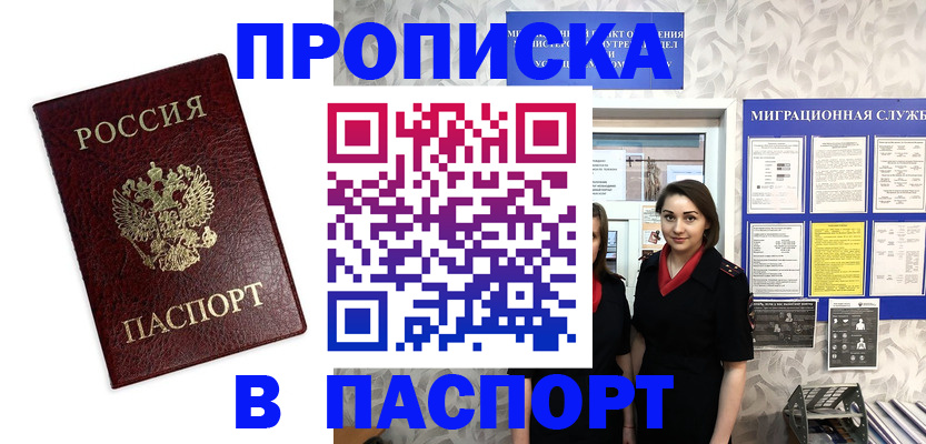 прописка 2025 в Соколе